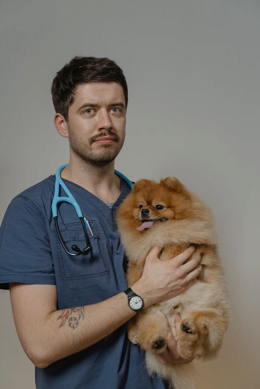 Puppy at veterinarian checkup